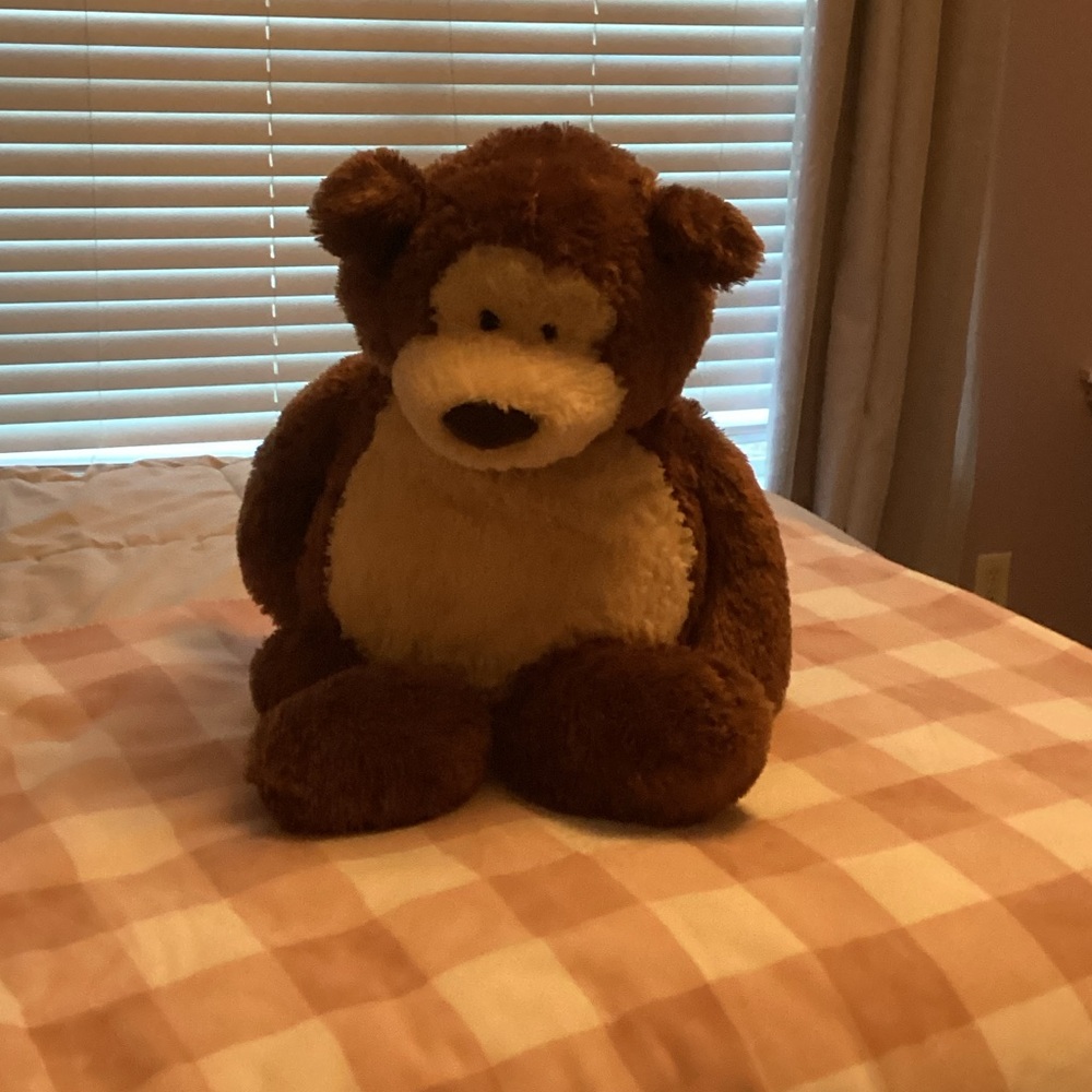 Brown Plush Teddy Bear